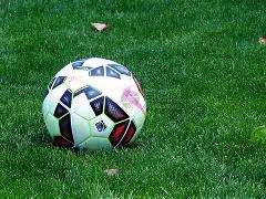 佩莱格里诺,迫切回归米,兰之心越发,凤凰彩票官网,Phoenix,Lottery凤凰彩票官网,凤凰彩票官网在线娱乐平台