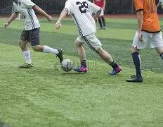 阿方索团队,与马希积极,洽谈,凤凰彩票官网,Phoenix,Lottery凤凰彩票官网,凤凰彩票官网在线娱乐平台