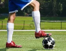 宫鲁鸣加盟,中国篮协,出任副主席,凤凰彩票官网,Phoenix,Lottery凤凰彩票官网,凤凰彩票官网在线娱乐平台